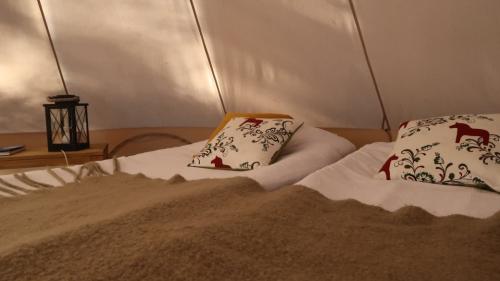 img_0065_1040x584