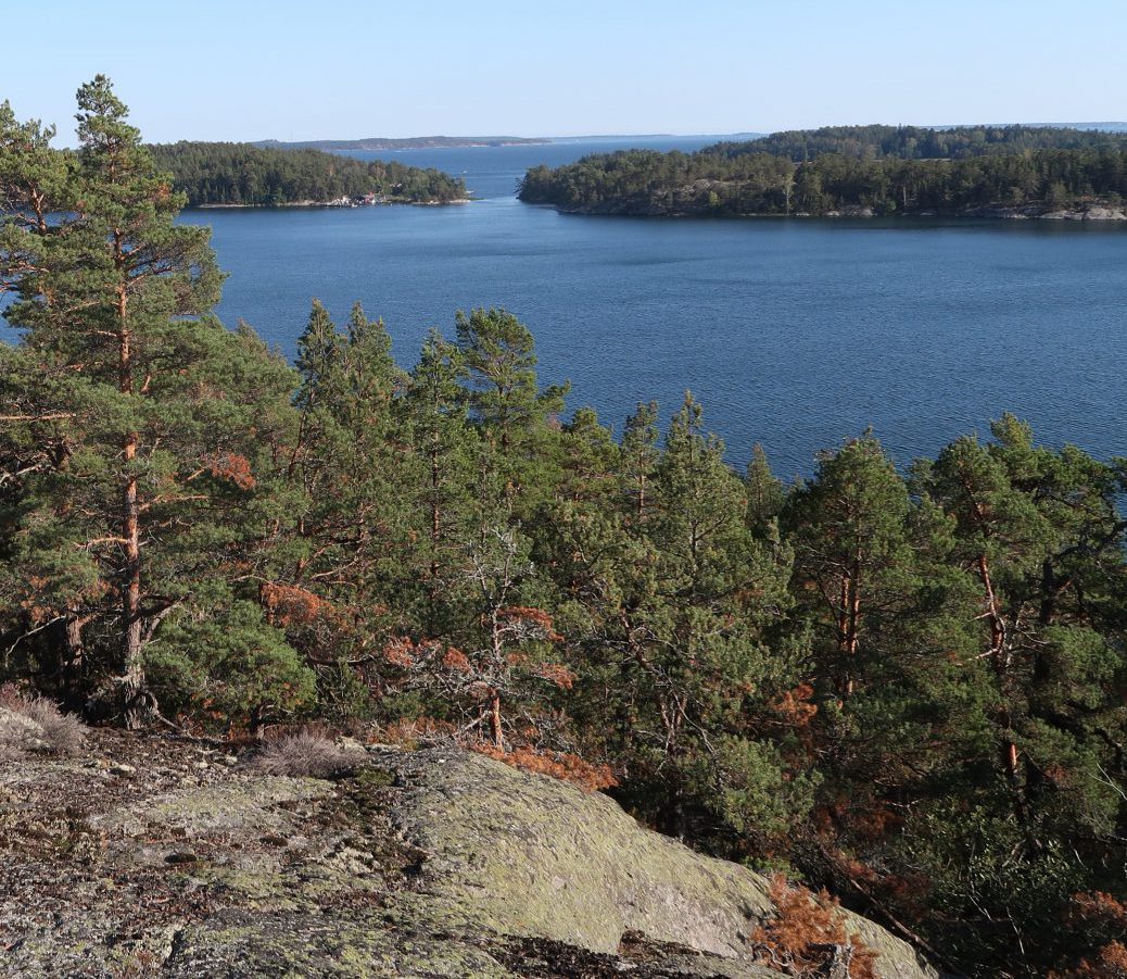 Utsikt över Sälstationen