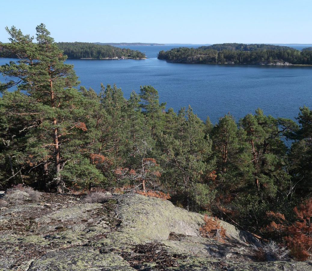 Promenad och utsikt över Sälstationen