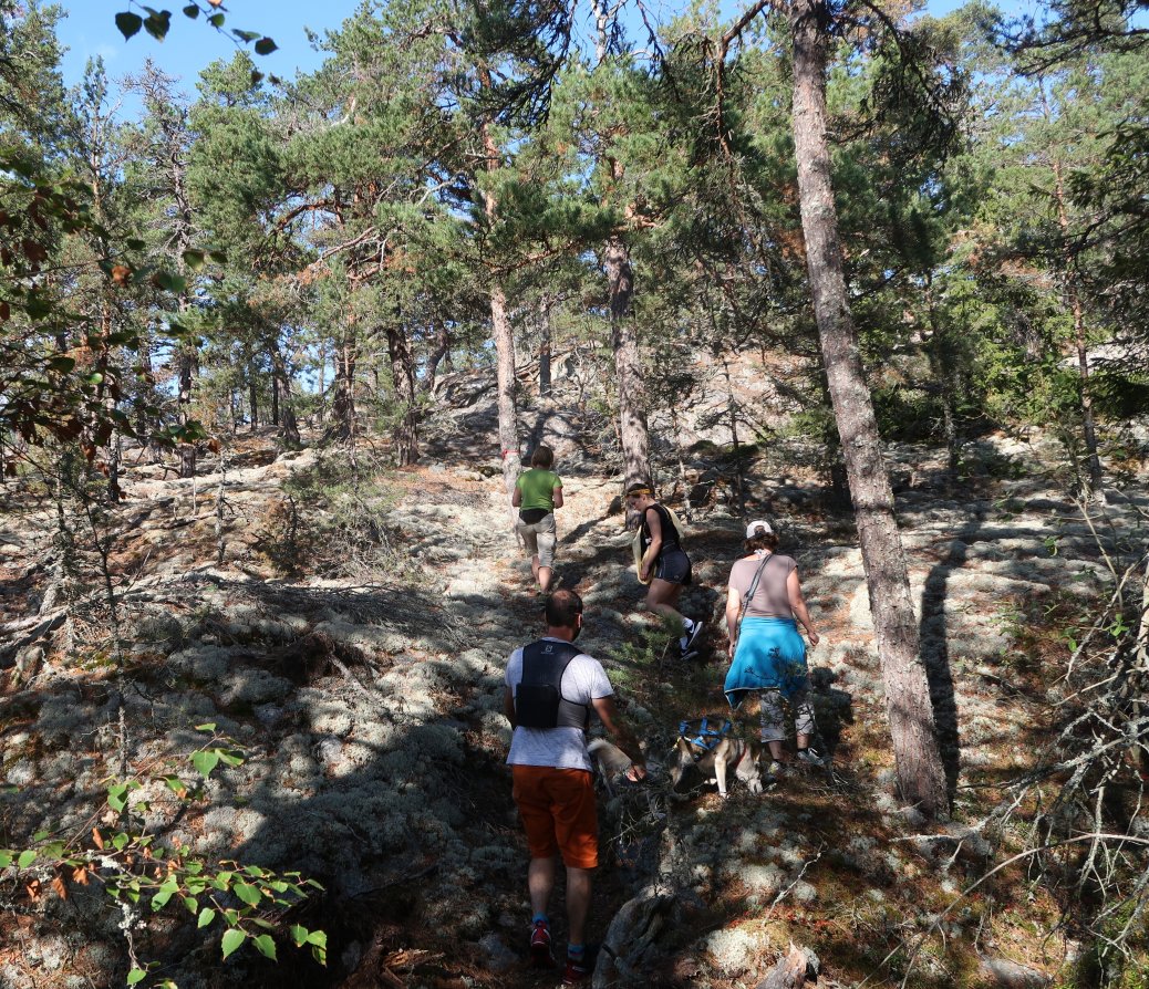 vandring i det vackra naturreservatet