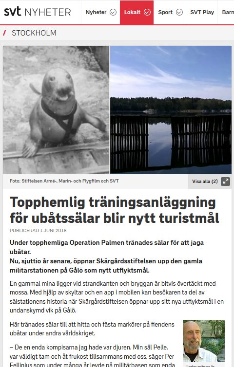 SVT nyheter_Stockholm